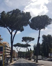 Trees by road against sky in city