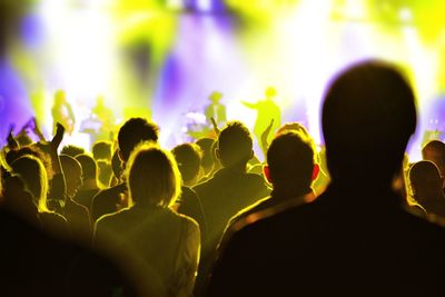 Group of people at music concert