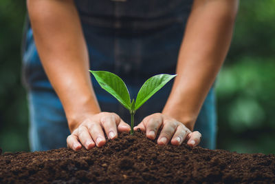 Midsection of person planting in soil