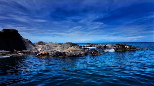 Scenic view of sea against blue sky