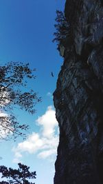 Low angle view of trees against blue sky