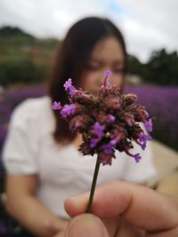 Midsection of woman holding purple flowering plant