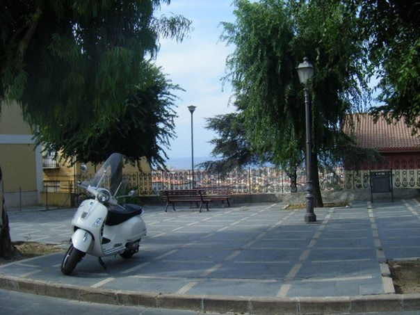 VIEW OF TREES IN CITY