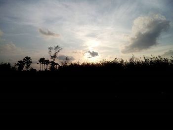 Silhouette of trees on landscape at sunset