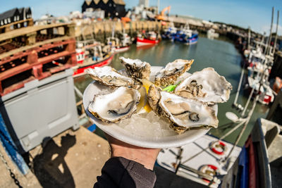 Cropped image of hand holding oysters at harbor