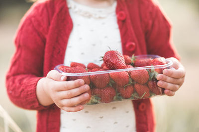 Little child wearing knitted red sweater holding plastic box full of fresh ripe strawberry closeup. 