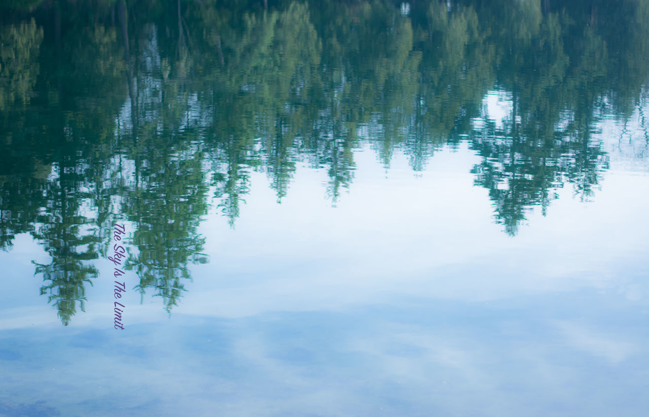 REFLECTION OF TREES IN LAKE