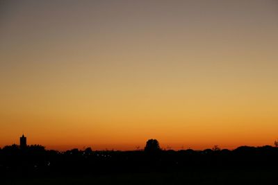 Silhouette of trees at sunset