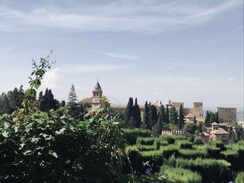 Panoramic view of trees and buildings against sky