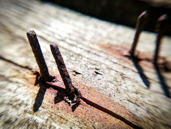 Close-up of rusty metal on wood