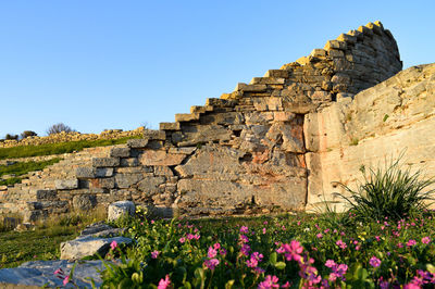 View of flowering plants against clear blue sky