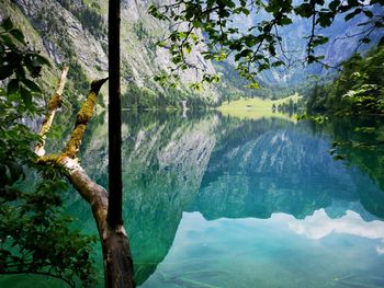 Scenic view of lake by trees