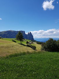 Scenic view of field against blue sky