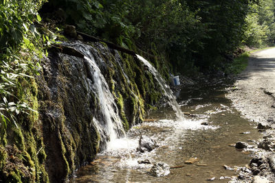 Scenic view of waterfall in forest