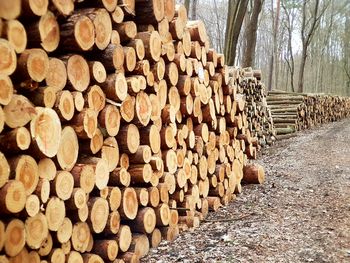 Stack of logs