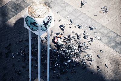 High angle view of people on wet footpath