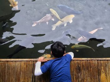 Rear view of boy on pier by fish swimming in pond