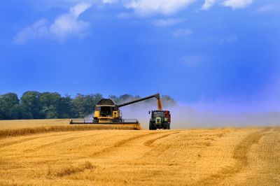 Field against cloudy sky