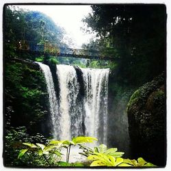 Scenic view of waterfall