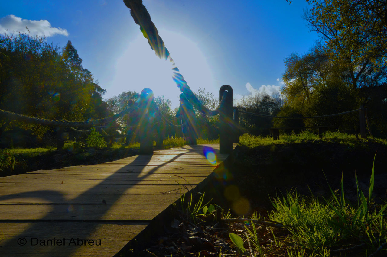 VIEW OF POND IN PARK