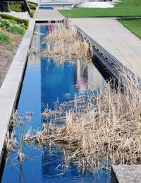 High angle view of plants by lake