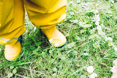 Low section of man standing on field