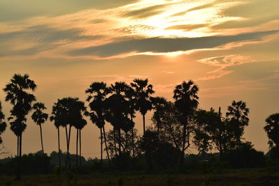 Silhouette trees on field against sky at sunset