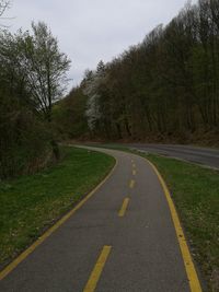 Road amidst trees and plants against sky