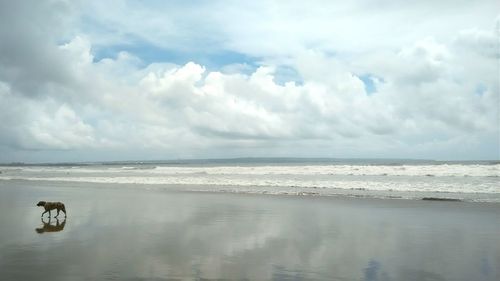 Scenic view of sea against cloudy sky