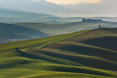 Scenic view of agricultural field against sky