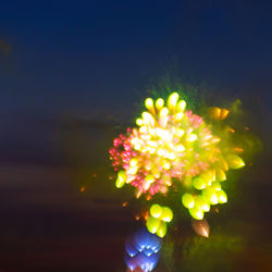 Close-up of hand holding illuminated flower at night