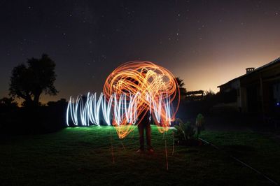 Illuminated trees at night