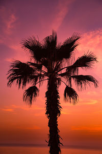 Silhouette palm tree against romantic sky at sunset