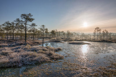 Scenic view of lake against sky during winter