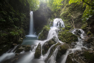 Scenic view of waterfall in forest
