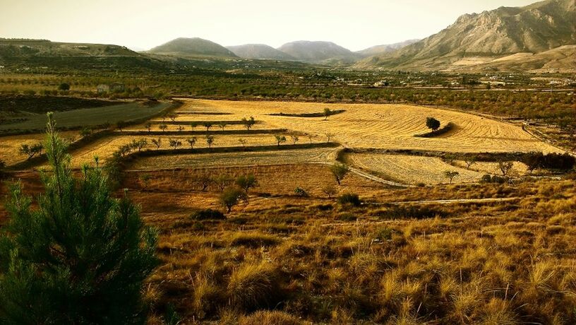 landscape, mountain, tranquility, tranquil scene, rural scene, agriculture, field, scenics, farm, nature, beauty in nature, mountain range, non-urban scene, high angle view, travel destinations, hill, remote, crop, day, outdoors