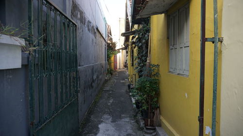 Empty alley amidst buildings in city