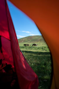 Horse grazing on field against sky