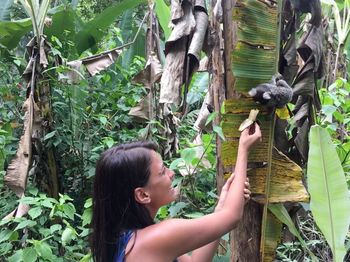 Side view of smiling young woman feeding banana to koala on tree in forest