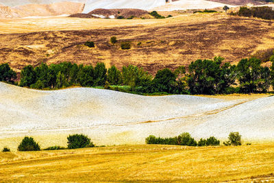 Scenic view of landscape