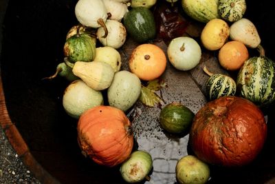 High angle view of apples