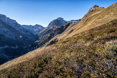 mountain