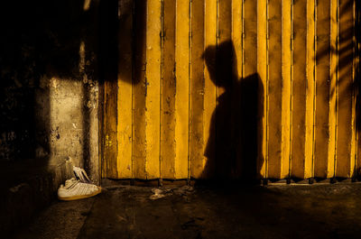 Shadow of man on patterned wall