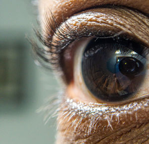 Close up of african american mans dark brown eyes for use in ophthalmology optometry imagery