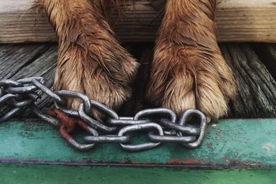 Close-up of rusty metal chain on wooden plank
