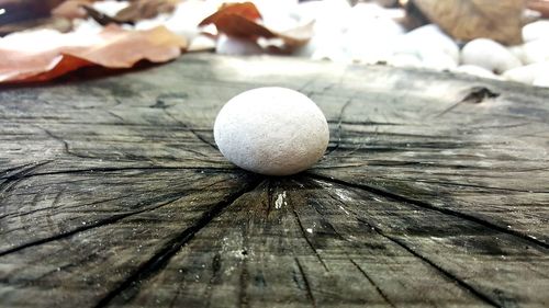 Close-up of wood on table