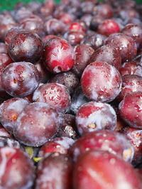 Full frame shot of wet plums for sale at market