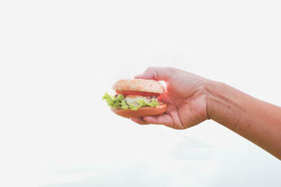 Midsection of person holding ice cream against white background