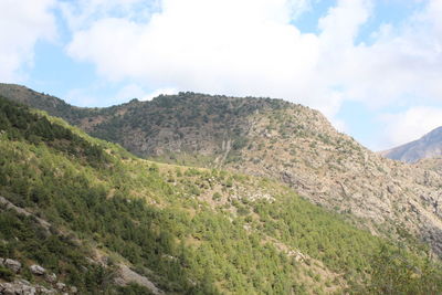 environment