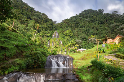 Scenic view of waterfall by trees against sky